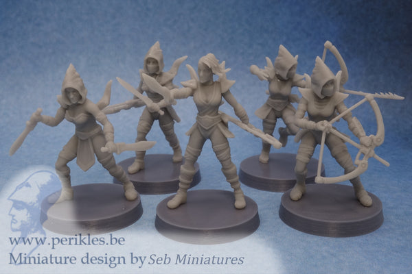 Darksister Squad (5x 35mm wargaming miniatures)