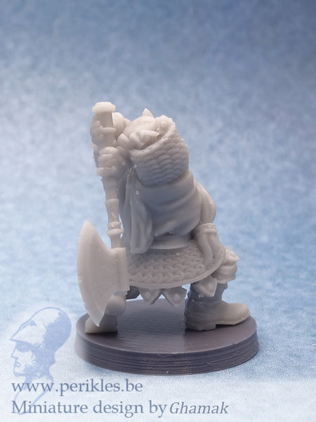 Dwarf Adventurer