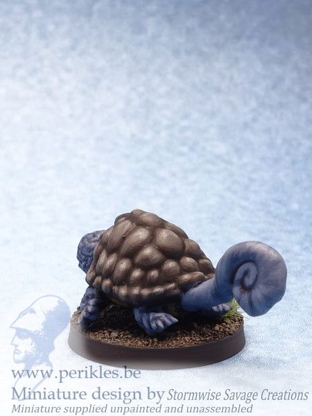 Juvenile Blast Tortoise