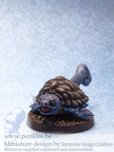Juvenile Blast Tortoise