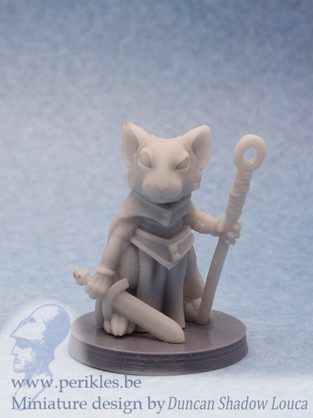 Mousling Wizard 1