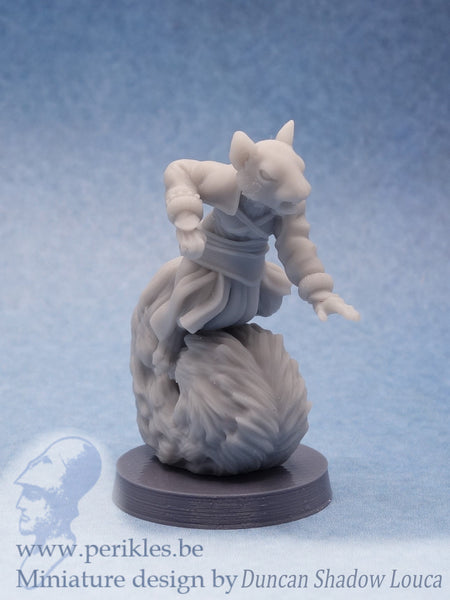 Nutkin Monk 1