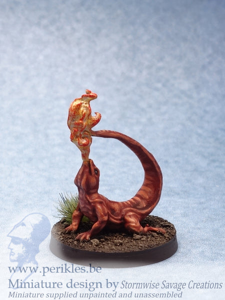Juvenile Pyremander