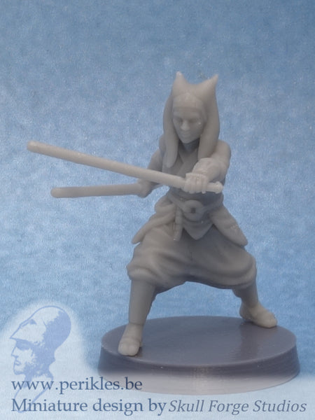 Righteous Sage Fighting (35mm wargaming miniature)