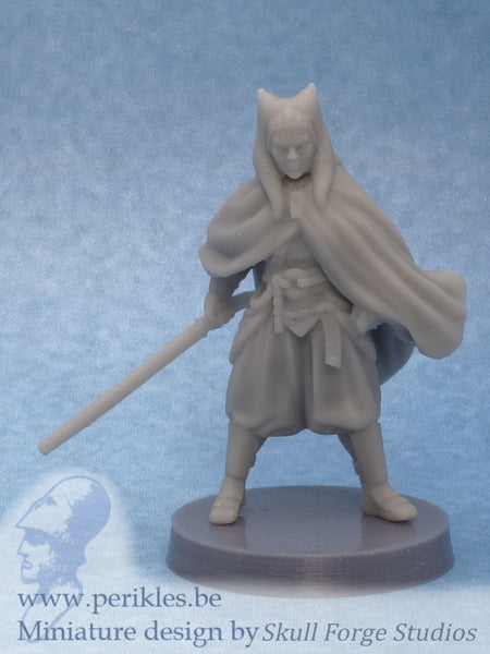 Righteous Sage Standing (35mm wargaming miniature)