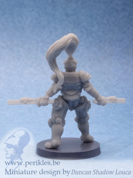 Robot Samurai