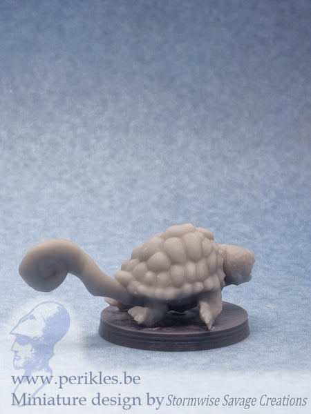 Juvenile Blast Tortoise