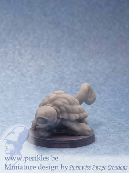 Juvenile Blast Tortoise