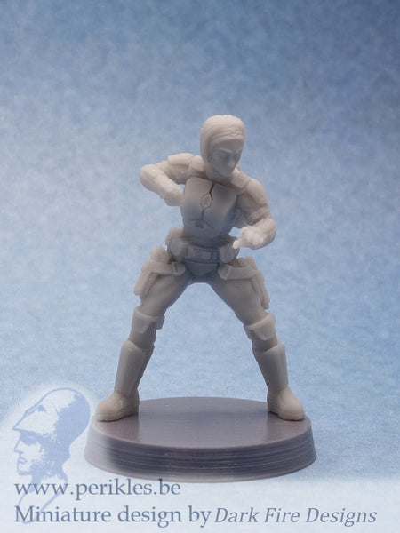 Vindictive Crusader Melee Stance