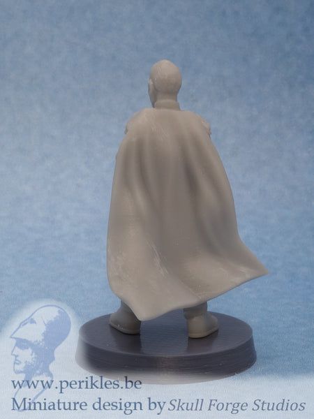 Viscount with Saber (35mm wargaming miniature)