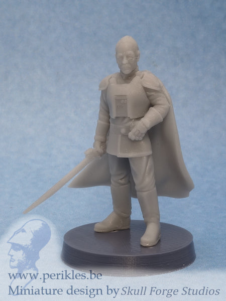 Viscount with Saber (35mm wargaming miniature)